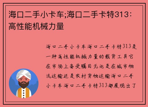 海口二手小卡车;海口二手卡特313：高性能机械力量