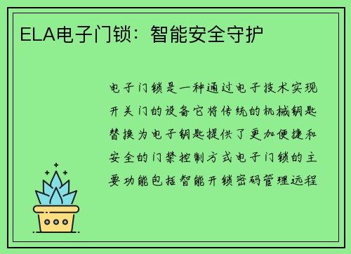 ELA电子门锁：智能安全守护